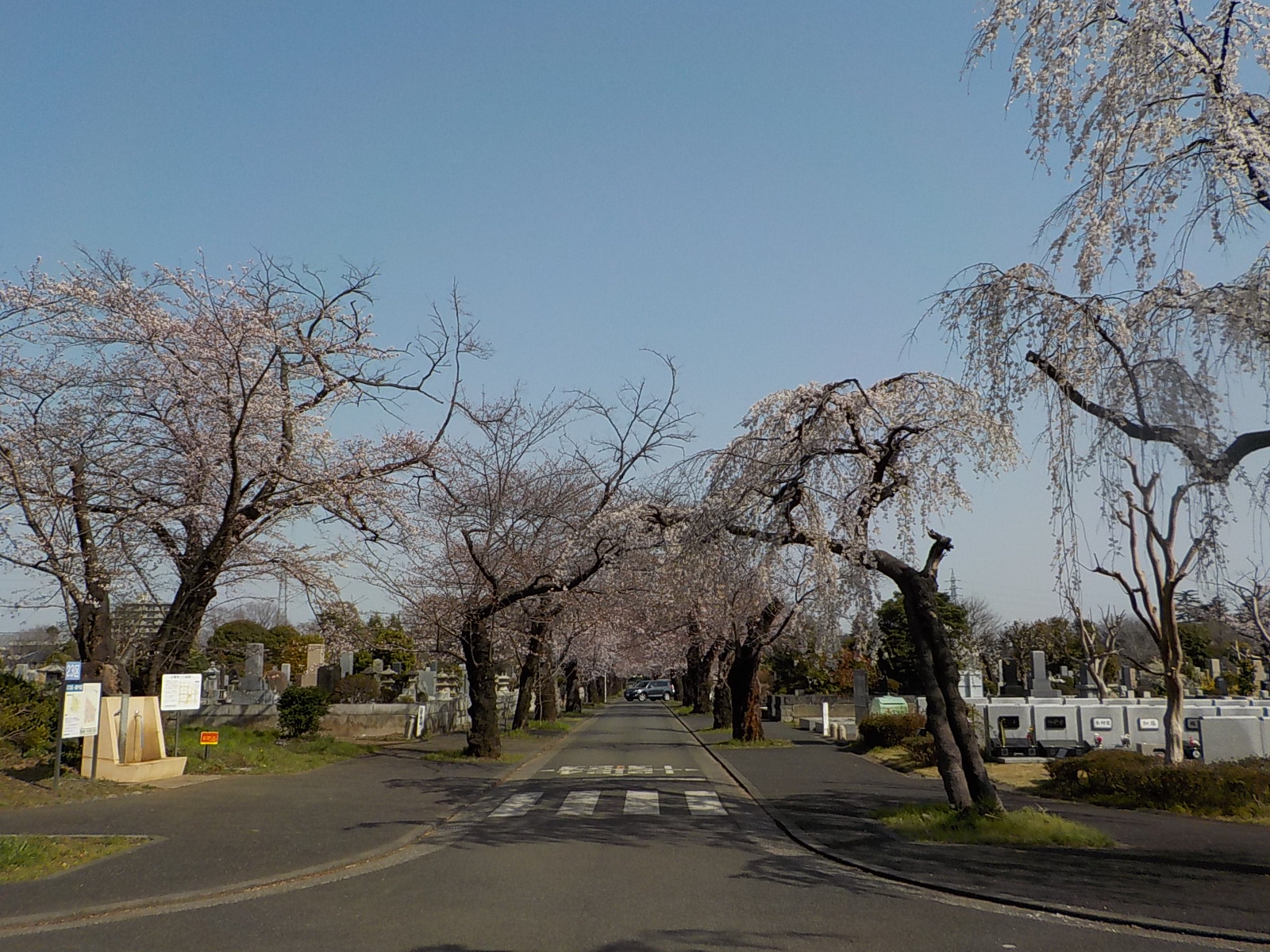 令和2年3月　お彼岸