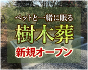 ペットと眠る樹木葬