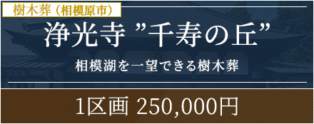 浄光寺
