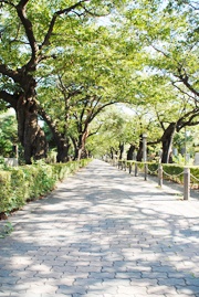 お墓とあわせて考えておきたい墓地・墓所のこと