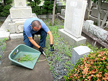 除草清掃